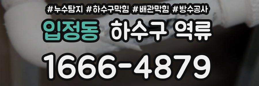 입정동 하수구 역류