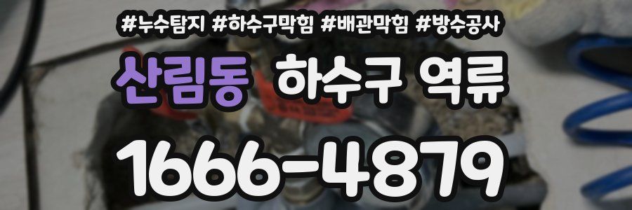 산림동 하수구 역류