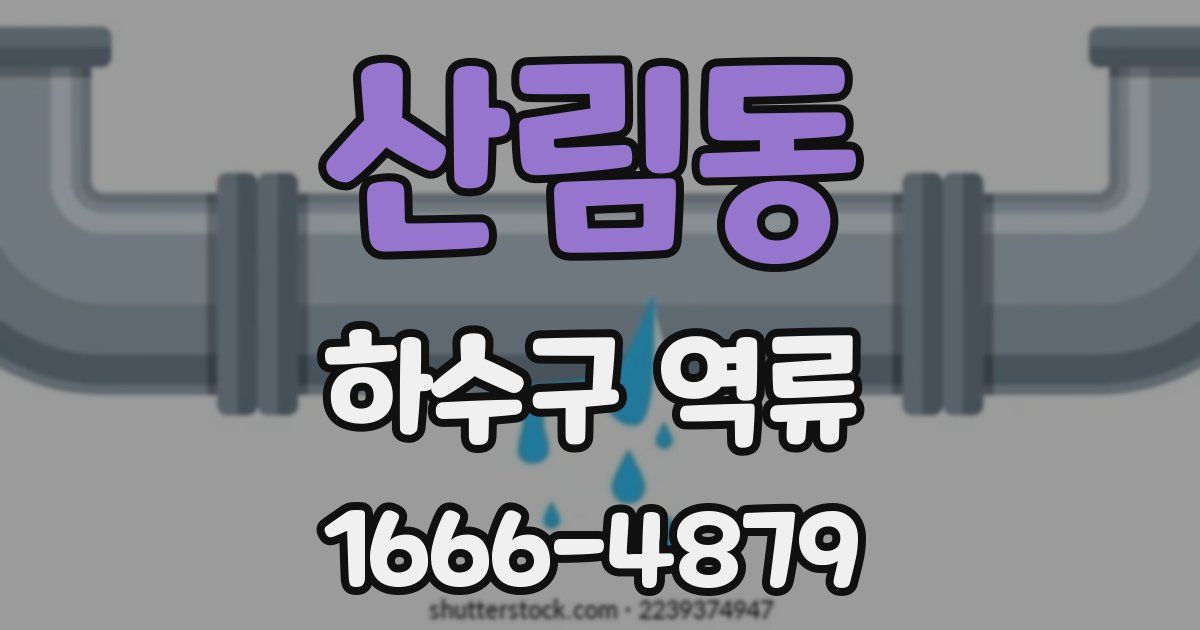 산림동 하수구 역류
