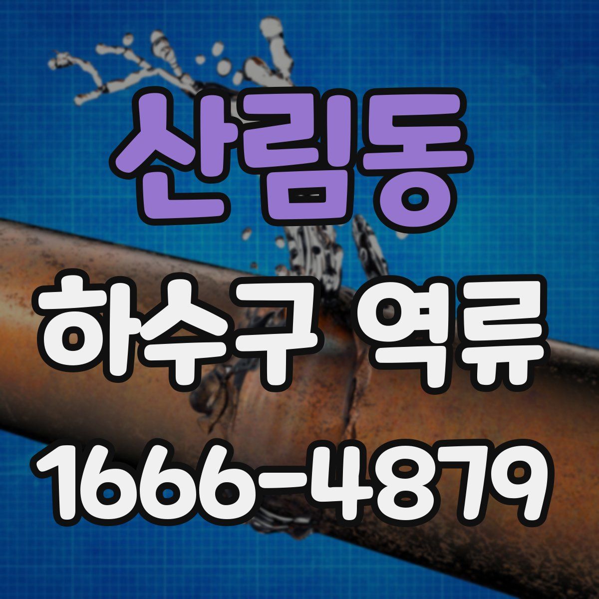 산림동 하수구 역류