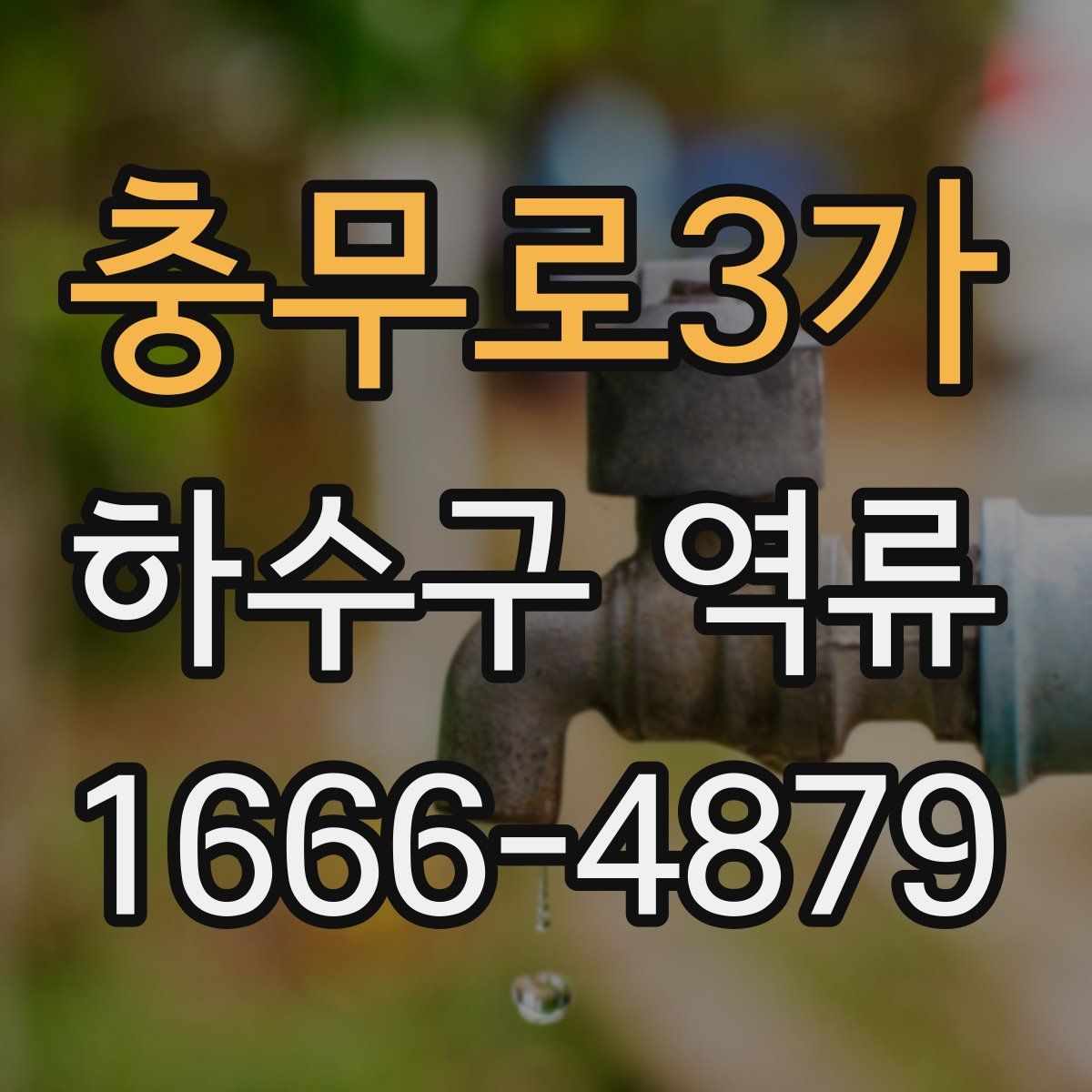 충무로3가 하수구 역류