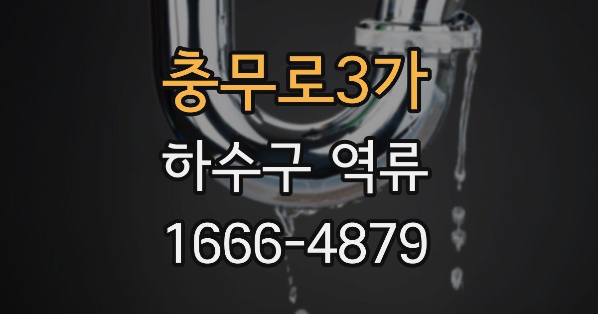 충무로3가 하수구 역류