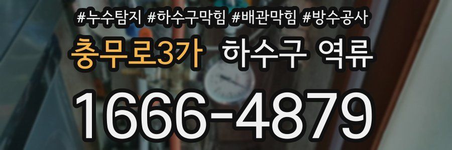 충무로3가 하수구 역류