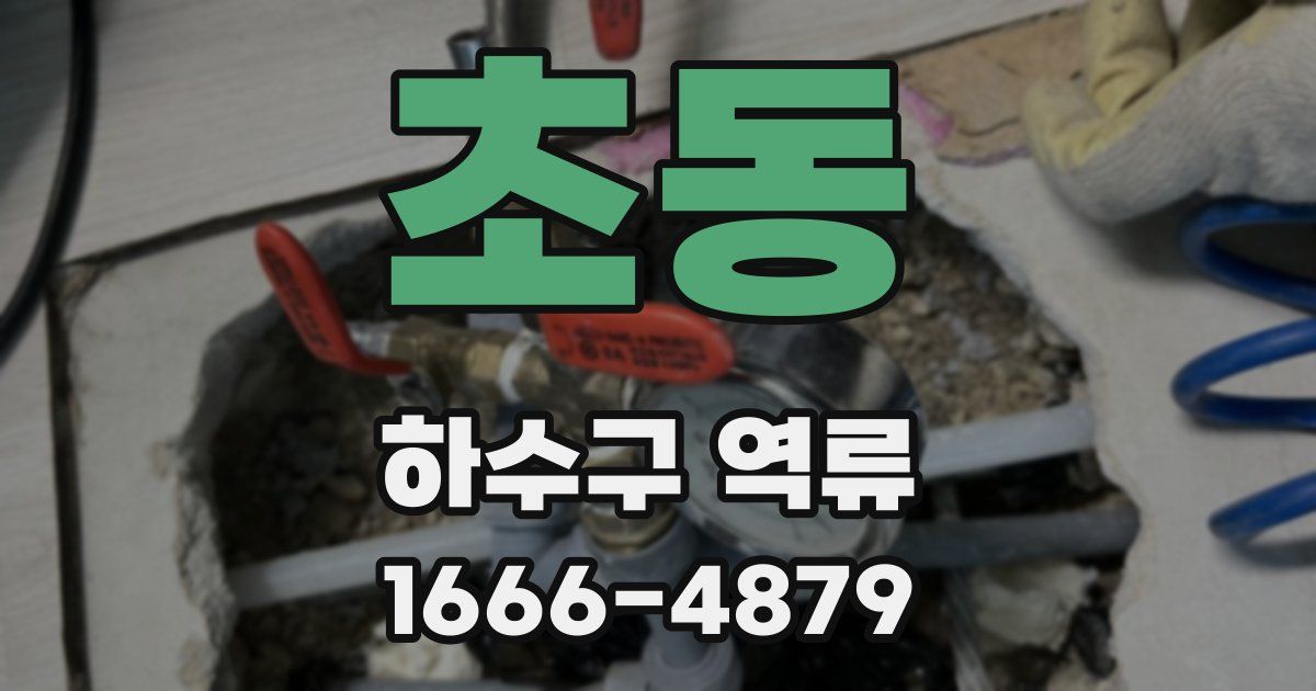 초동 하수구 역류