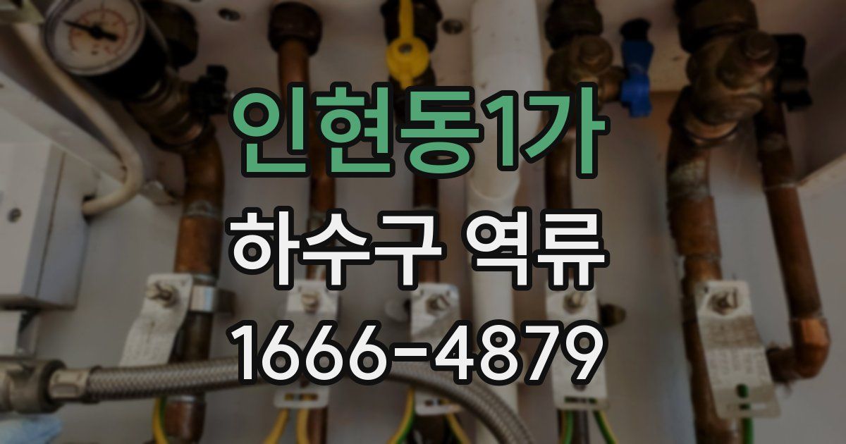 인현동1가 하수구 역류