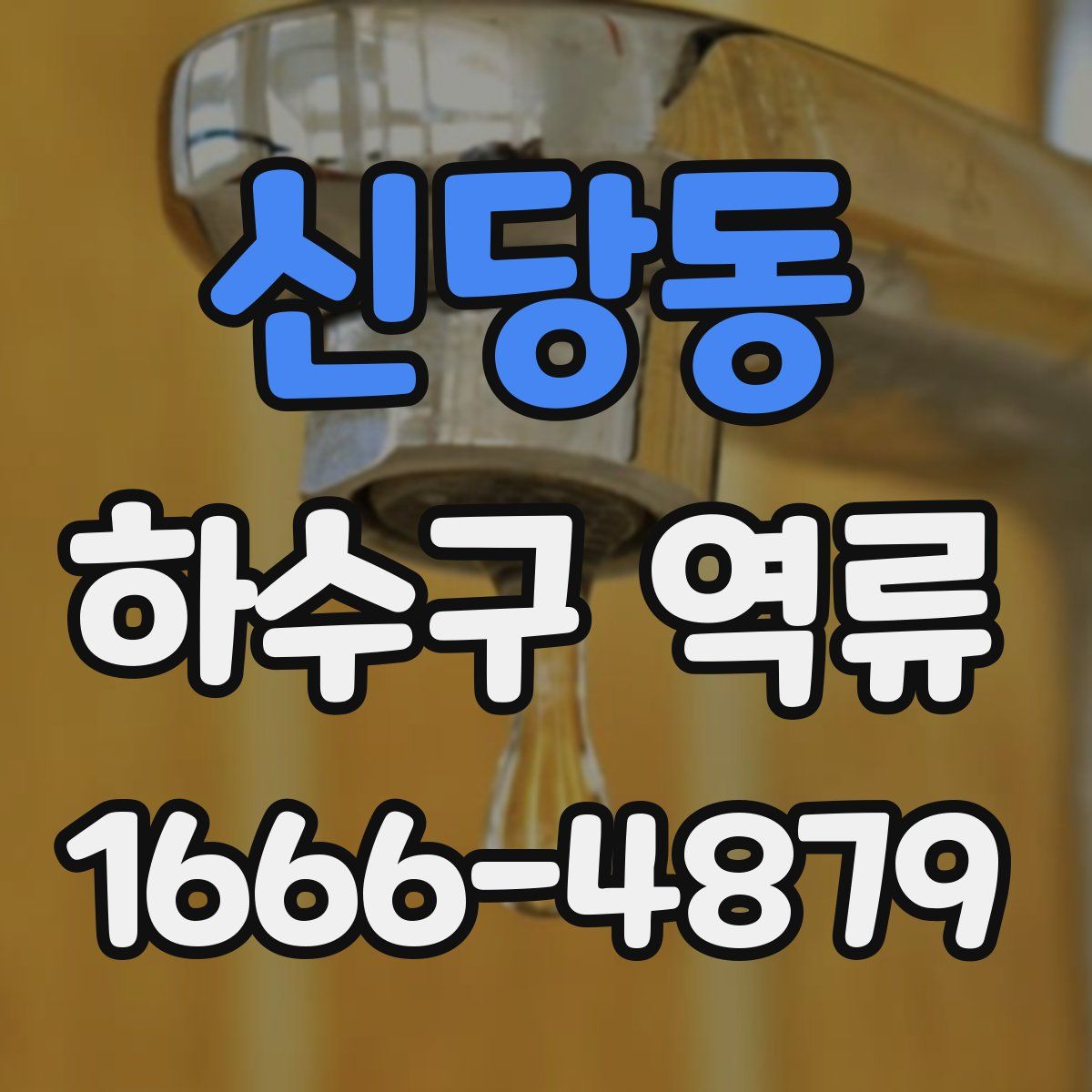 신당동 하수구 역류