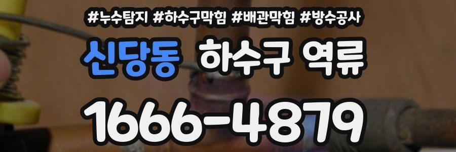 신당동 하수구 역류