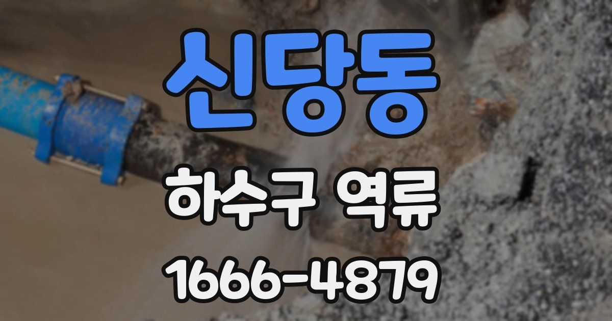 신당동 하수구 역류