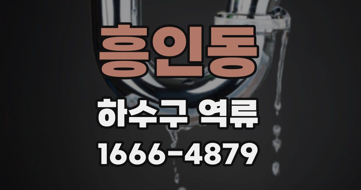 흥인동 하수구 역류