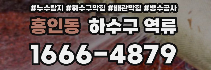 흥인동 하수구 역류