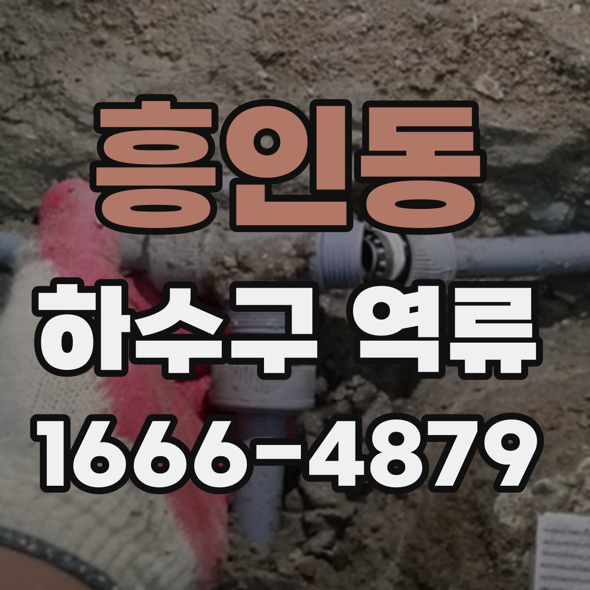 흥인동 하수구 역류
