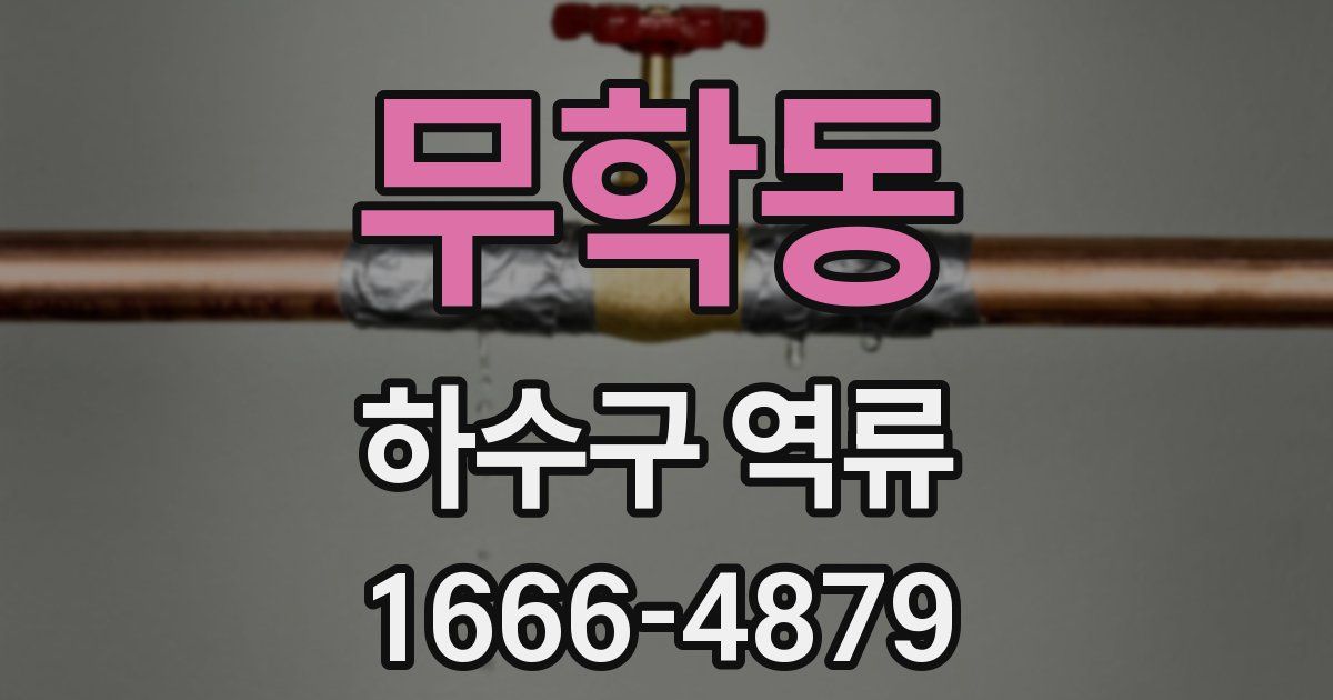 무학동 하수구 역류