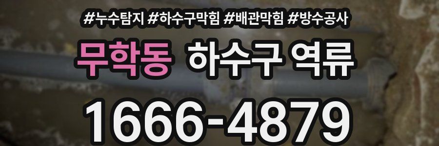 무학동 하수구 역류