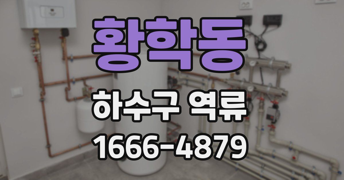 황학동 하수구 역류