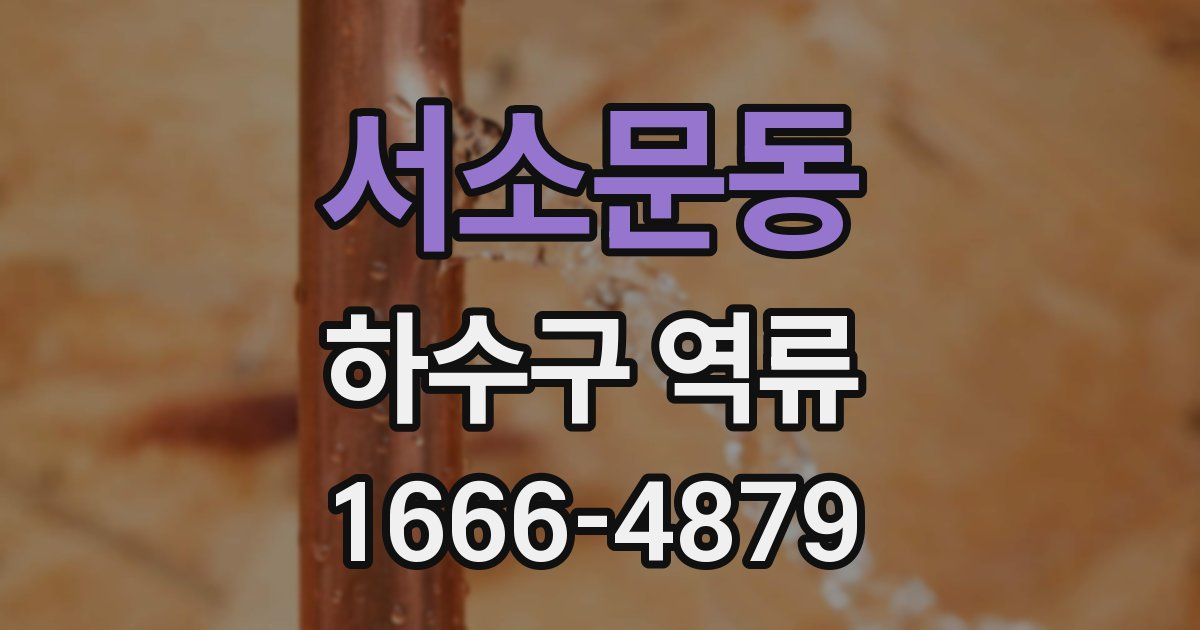 서소문동 하수구 역류