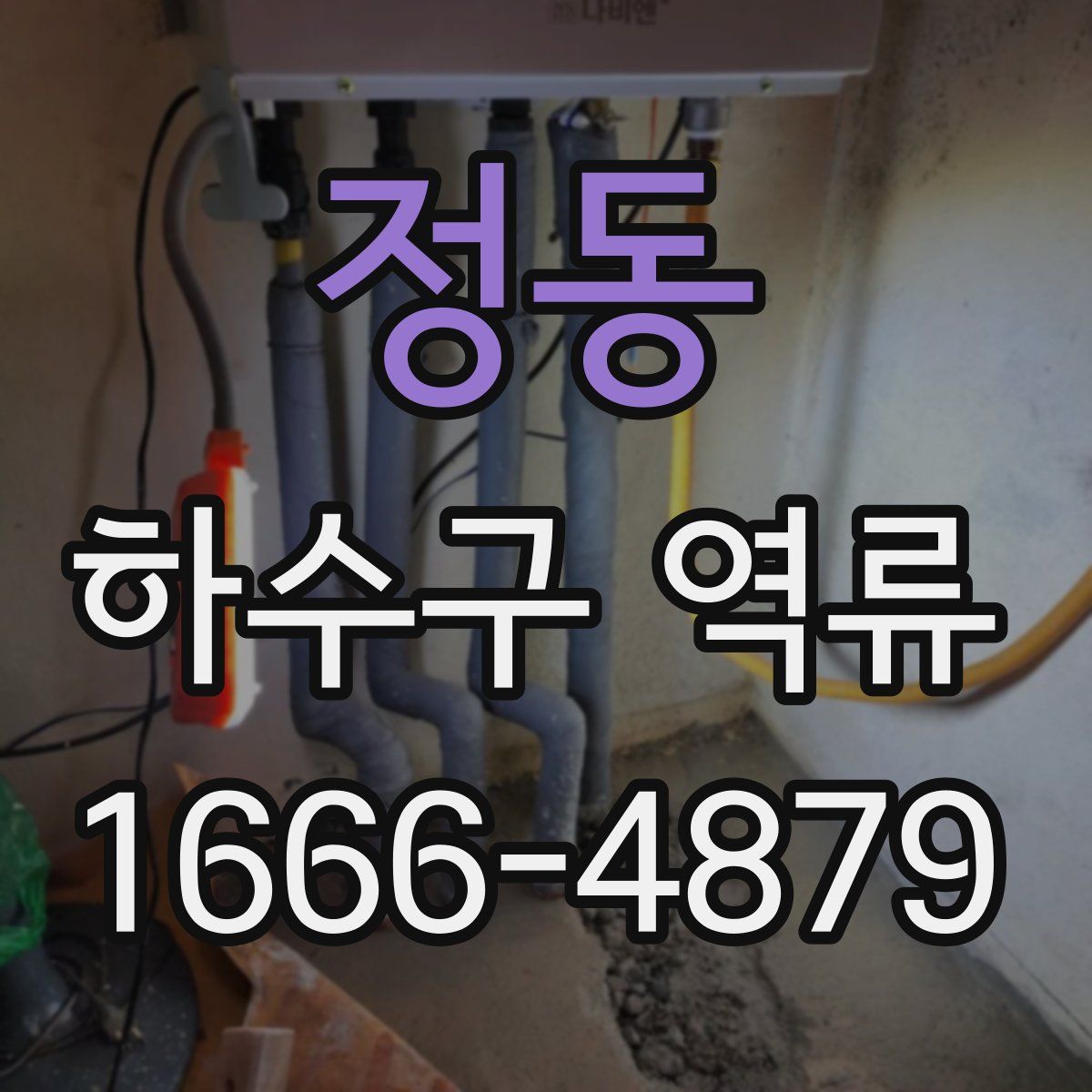 정동 하수구 역류