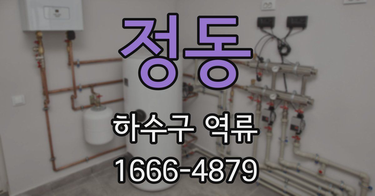 정동 하수구 역류