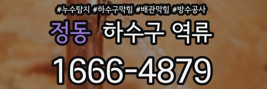 정동 하수구 역류