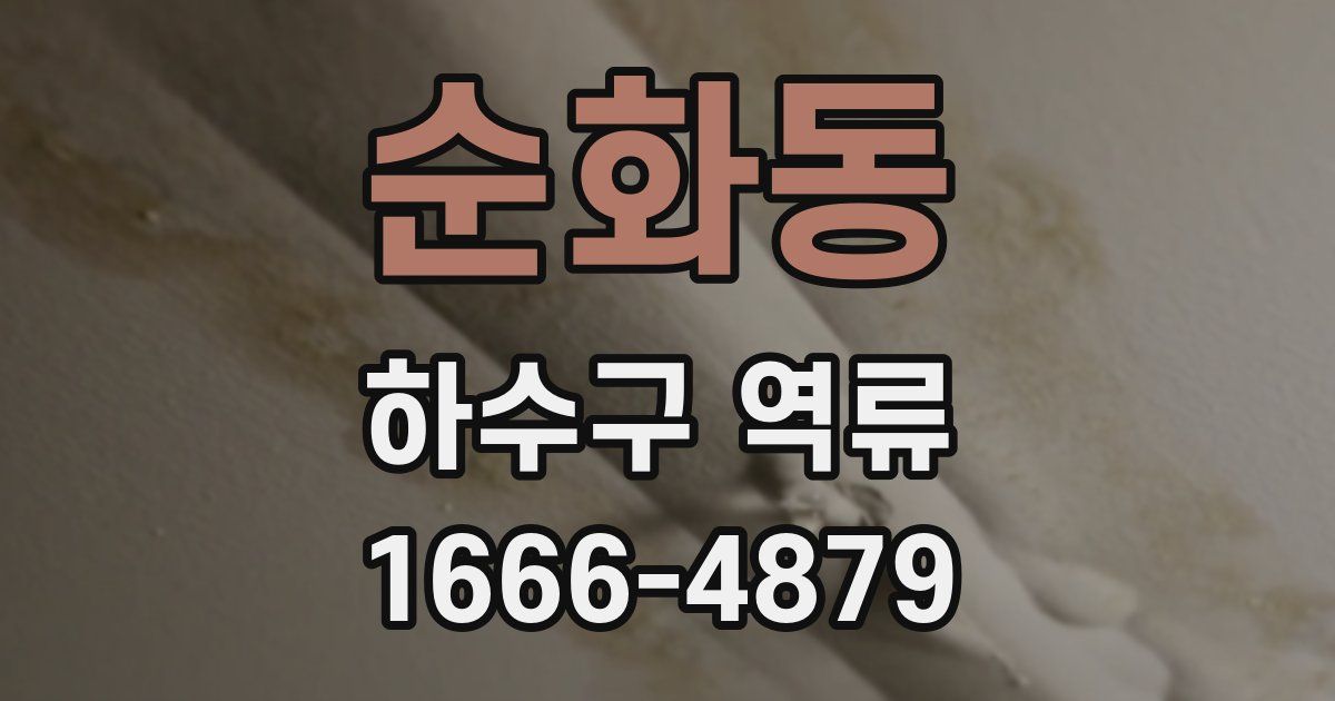 순화동 하수구 역류