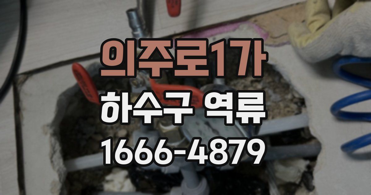 의주로1가 하수구 역류