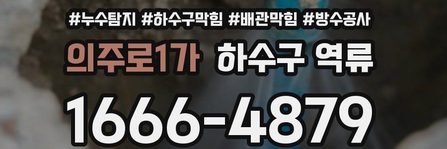 의주로1가 하수구 역류