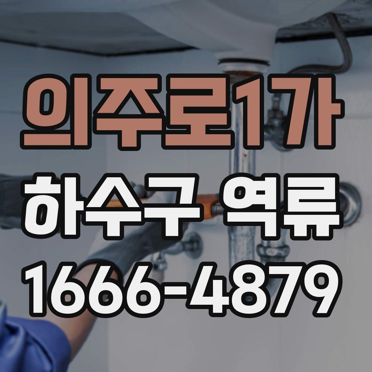 의주로1가 하수구 역류