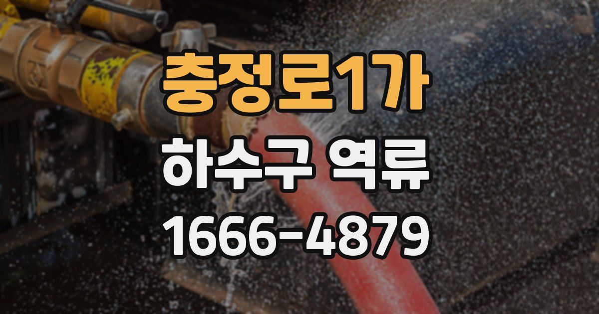 충정로1가 하수구 역류