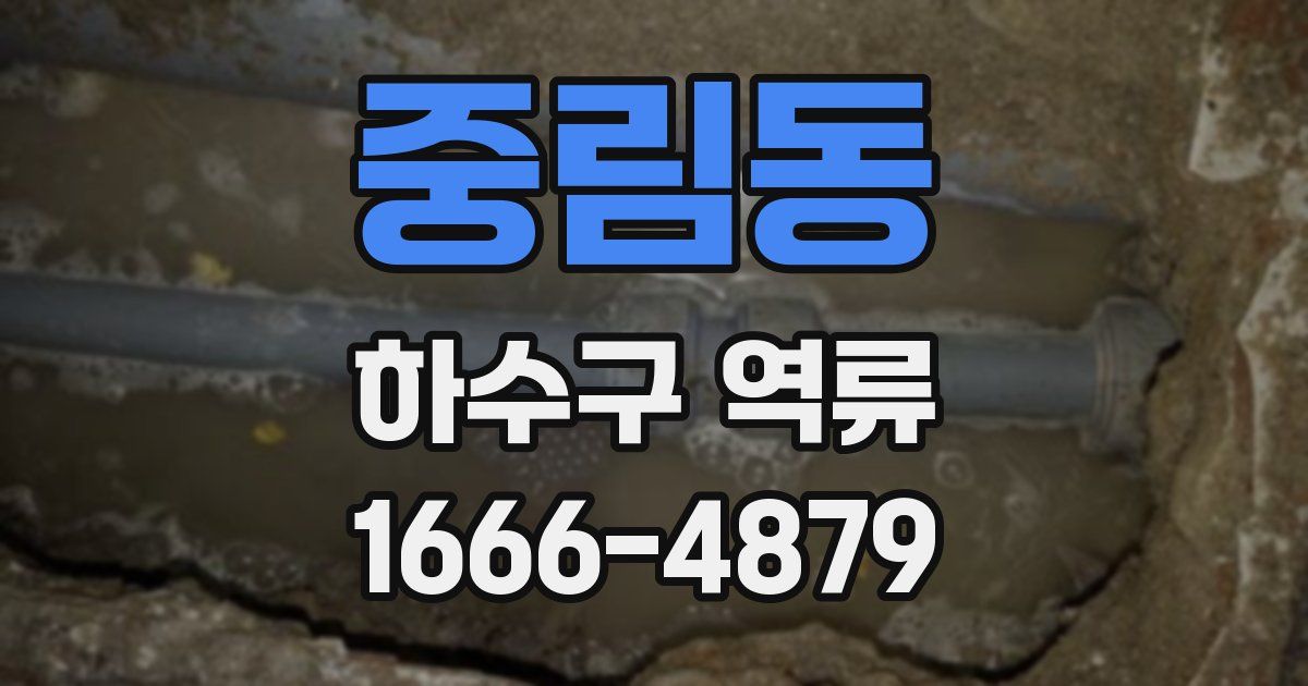 중림동 하수구 역류