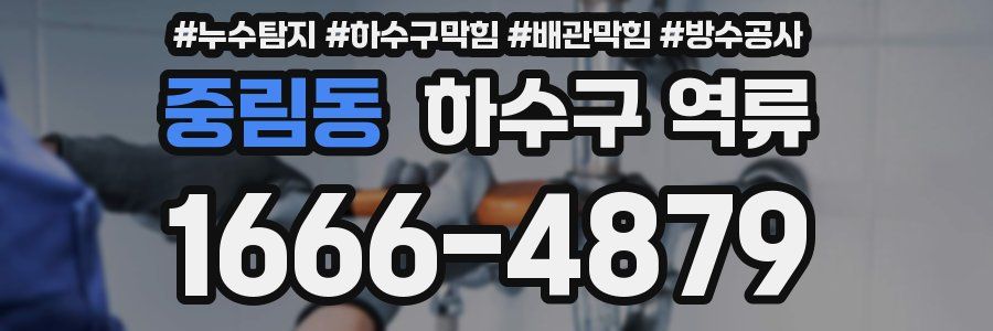 중림동 하수구 역류