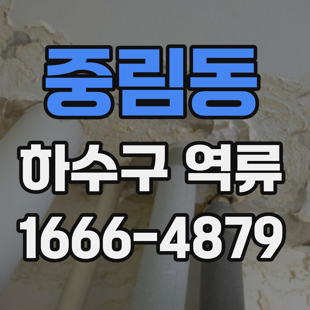 중림동 하수구 역류
