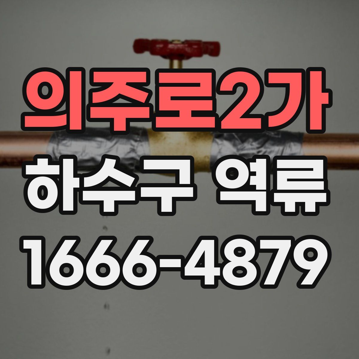 의주로2가 하수구 역류
