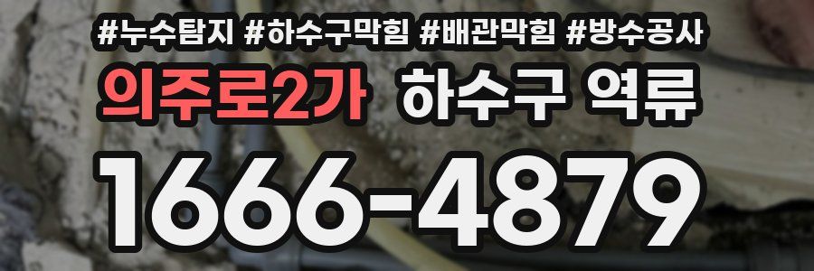의주로2가 하수구 역류