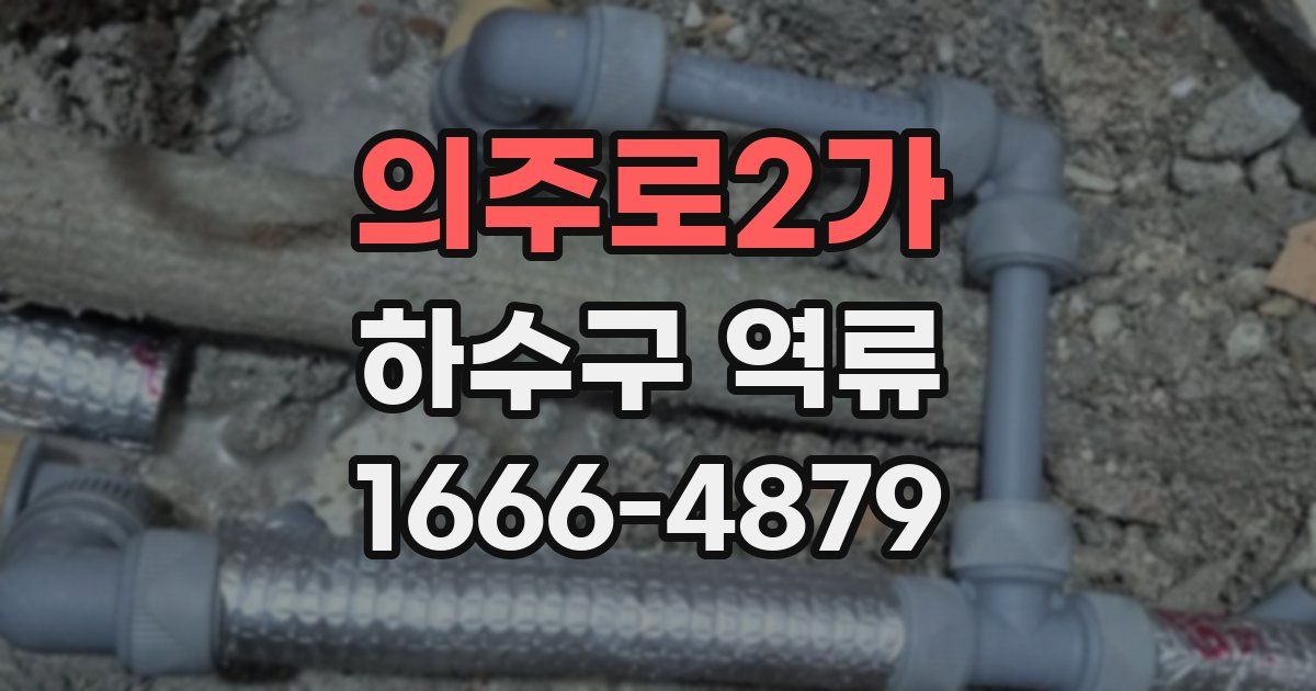 의주로2가 하수구 역류