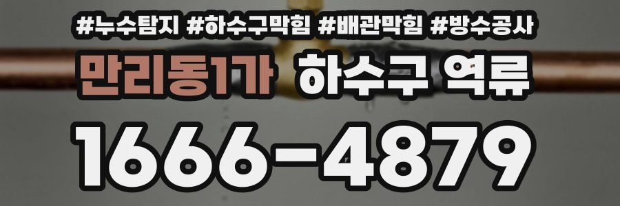 만리동1가 하수구 역류