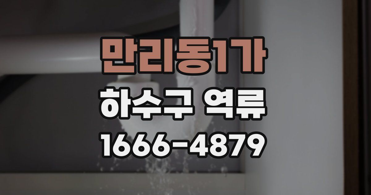 만리동1가 하수구 역류