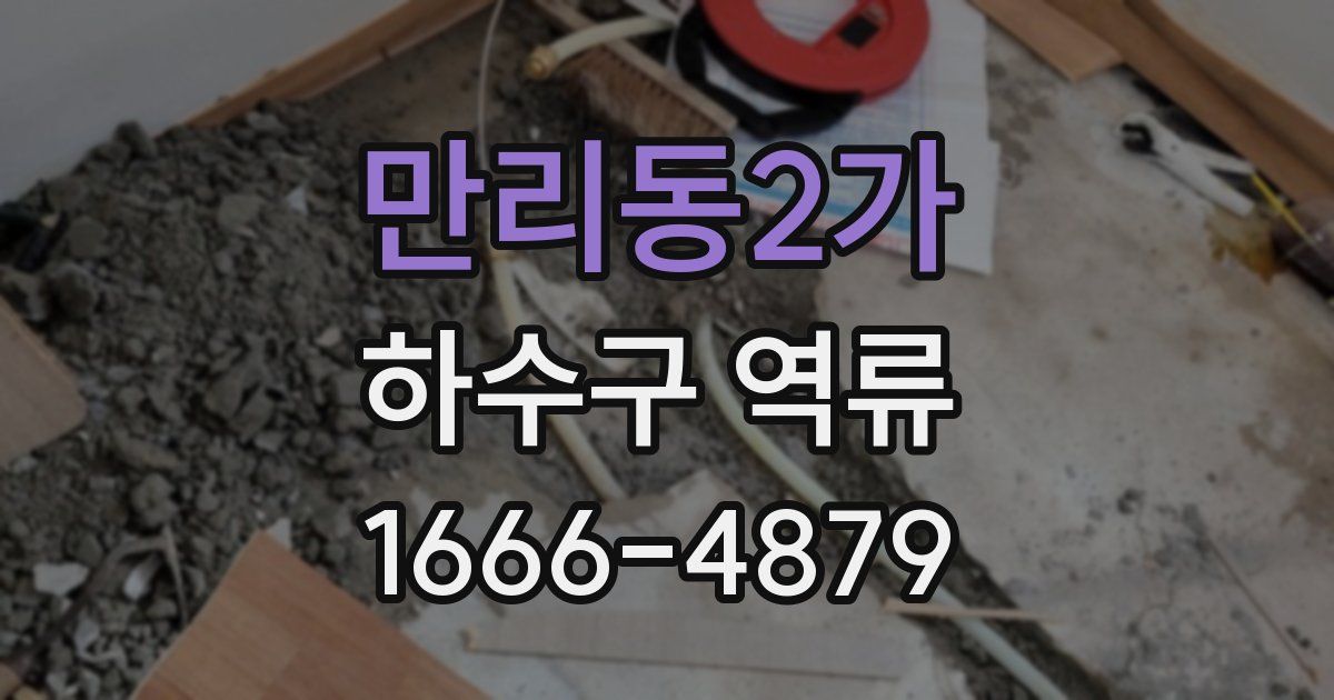 만리동2가 하수구 역류