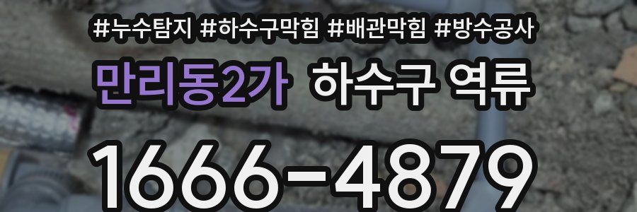 만리동2가 하수구 역류