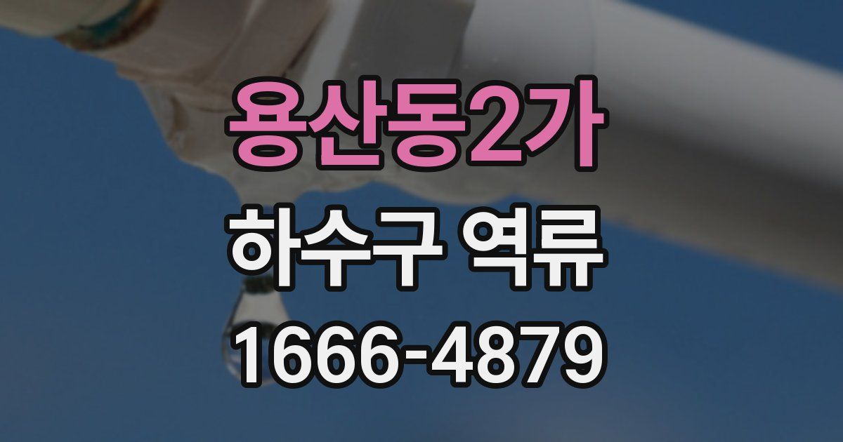 용산동2가 하수구 역류