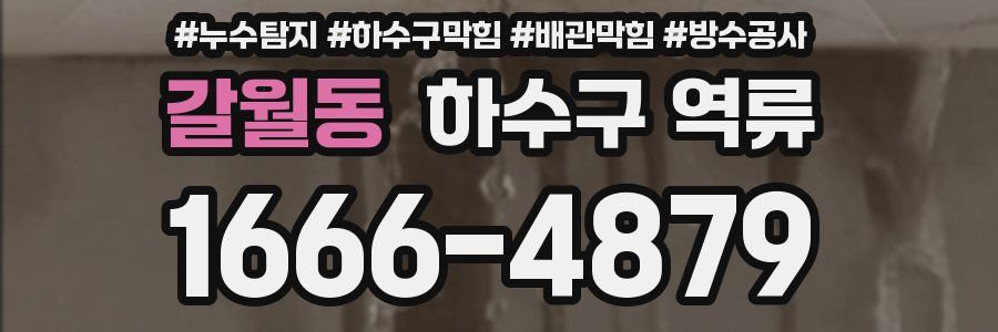 갈월동 하수구 역류