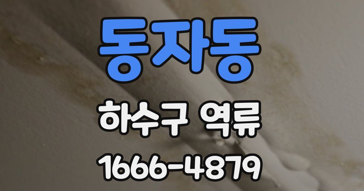 동자동 하수구 역류