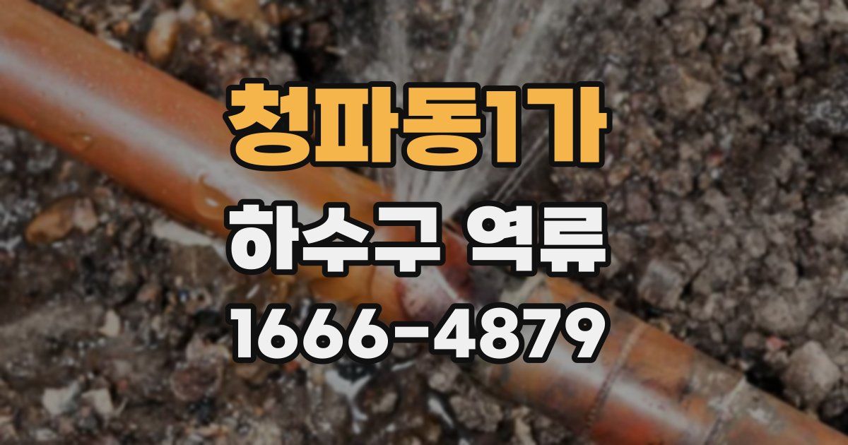 청파동1가 하수구 역류