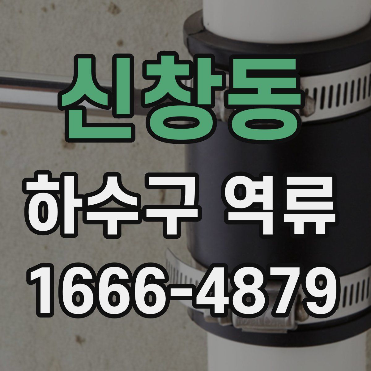 신창동 하수구 역류