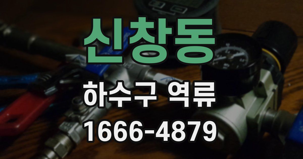 신창동 하수구 역류
