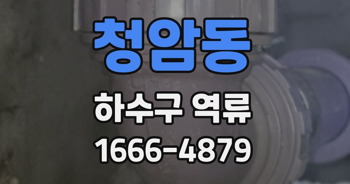 청암동 하수구 역류