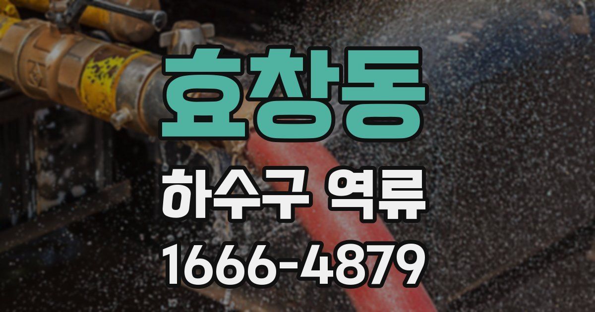 효창동 하수구 역류