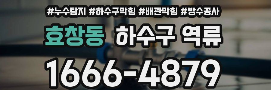 효창동 하수구 역류