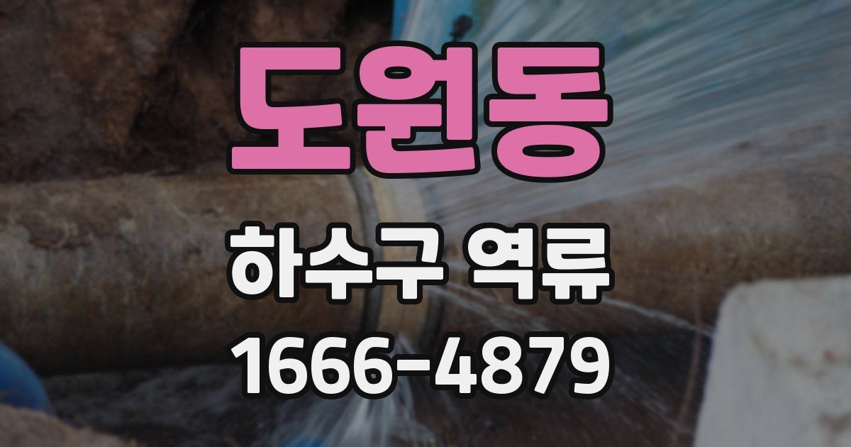도원동 하수구 역류