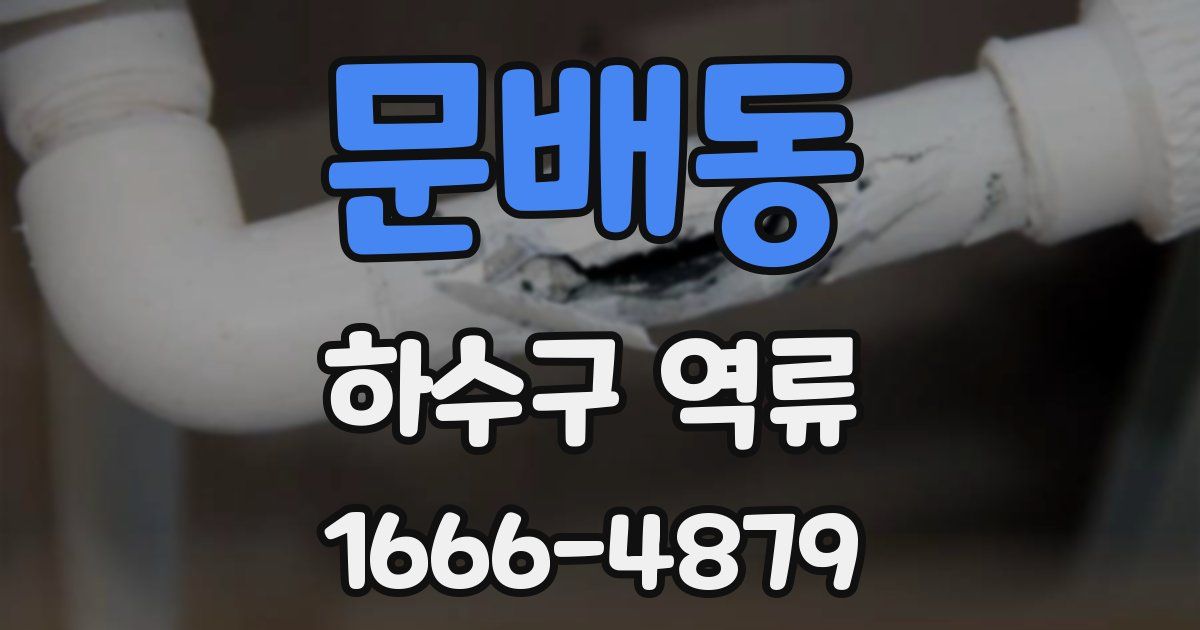 문배동 하수구 역류