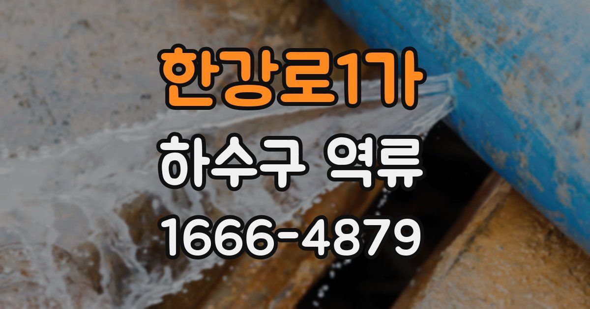 한강로1가 하수구 역류