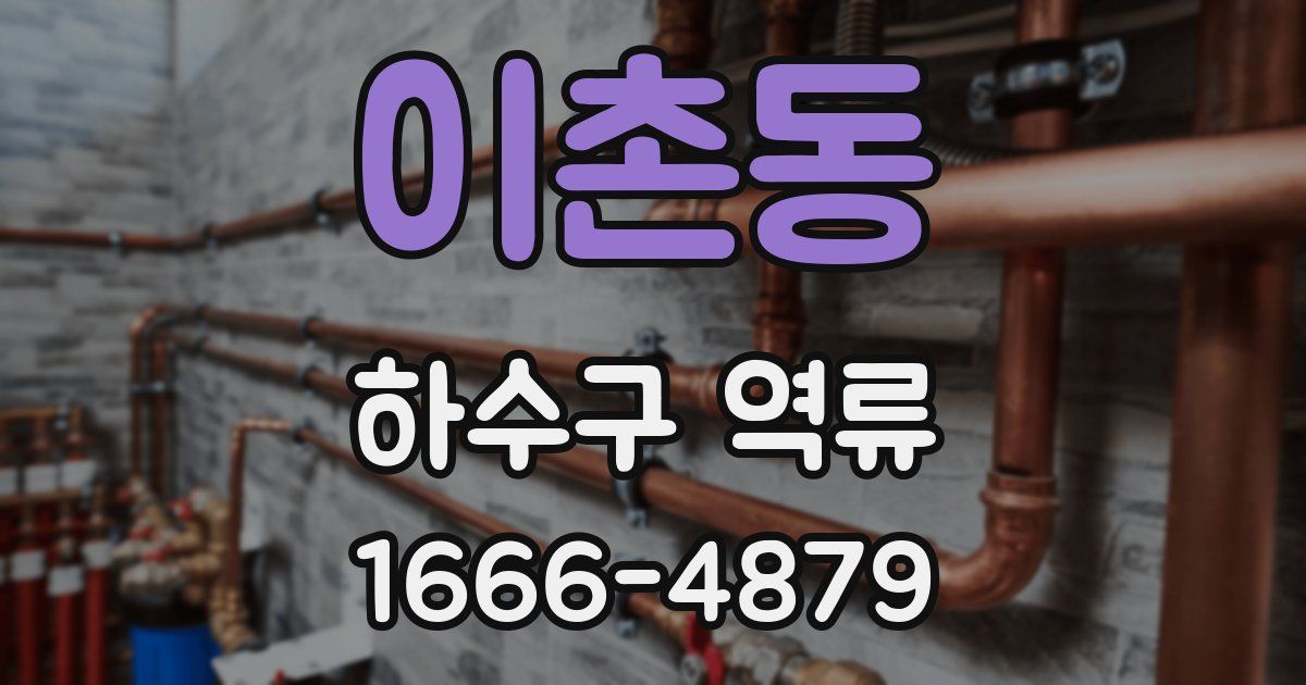 이촌동 하수구 역류